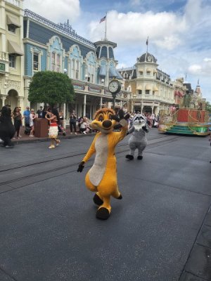 Timon.jpg Timon.jpg