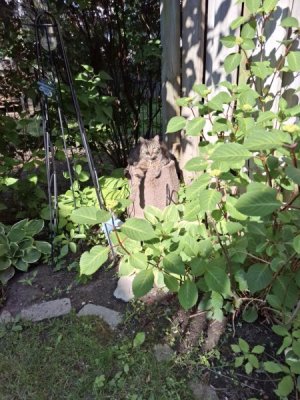 20240603_171101 (1).jpg