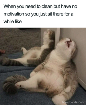1718320588949.png