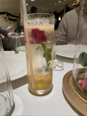 IMG_0940.png