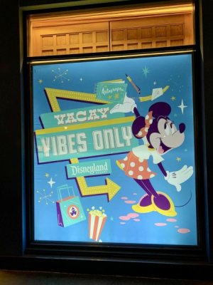 IMG_0351.jpeg