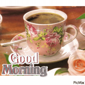 IMG_3527.gif