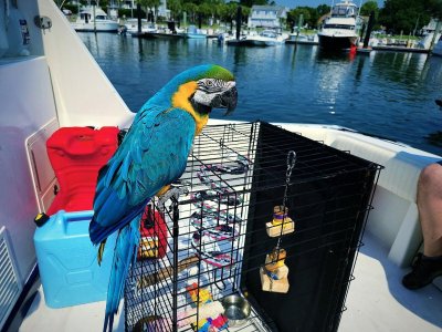 IMG_20240615_104841_355.jpg