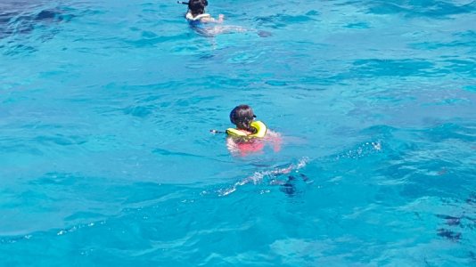 Snorkling Maire.jpg