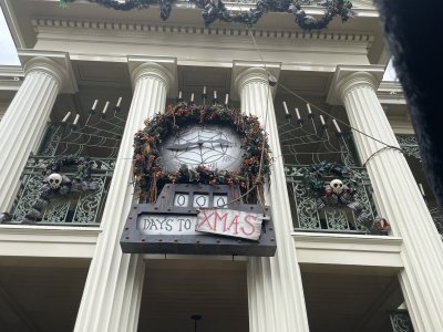 IMG_2647.JPEG