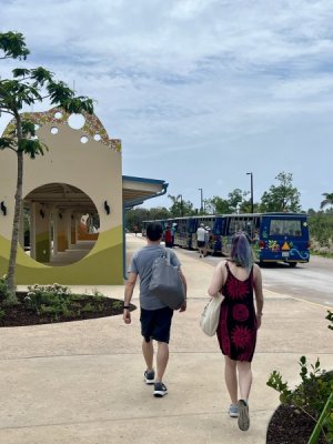 IMG_0710.jpeg