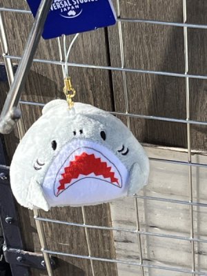 IMG_1170.jpeg