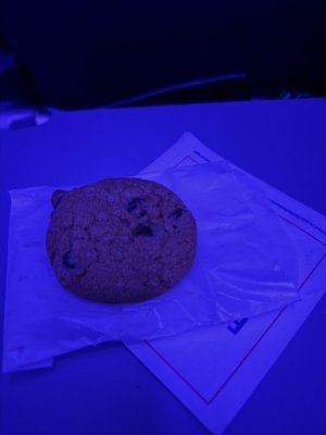 IMG_4263.jpeg