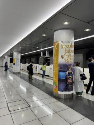 IMG_4272.jpeg