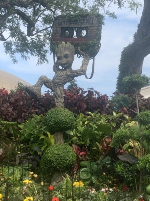 IMG_5242.JPEG