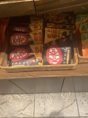 IMG_5247.JPEG