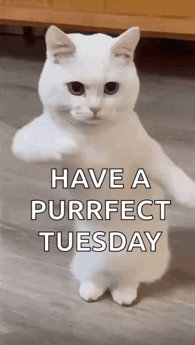 1718692128676.gif