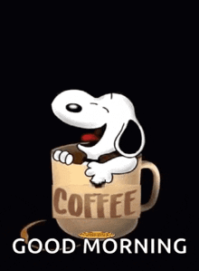 IMG_3539.gif
