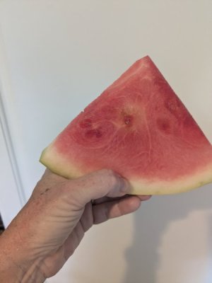 1000011025.jpg