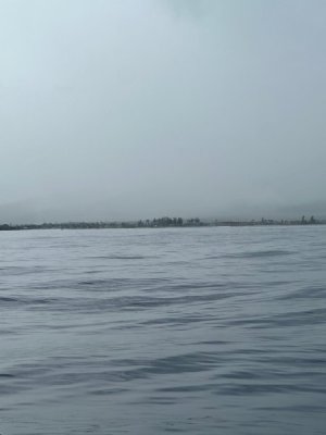 image6.jpeg