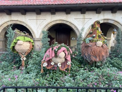 IMG_4320.JPEG