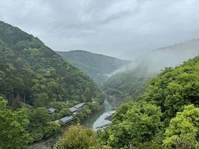 IMG_4411.jpeg