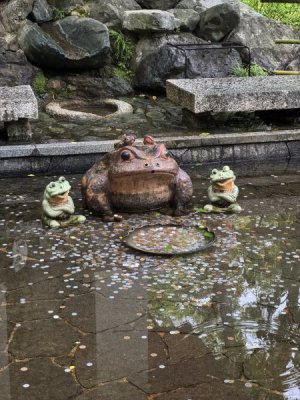 IMG_4417.jpeg