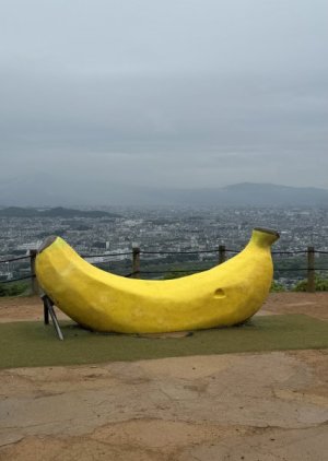 IMG_4459.jpeg