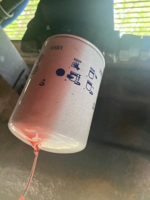 IMG_3240.jpeg
