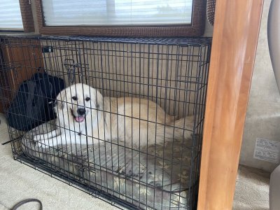IMG_3230.jpeg