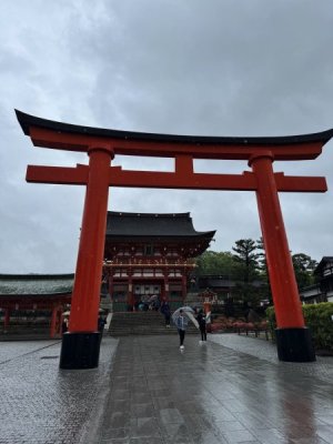 IMG_4532.jpeg