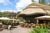 uzima springs bar.jpg