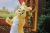 rabbit.jpg