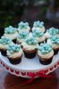 cupcakes.jpg