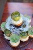 cupcakes 4.jpg