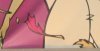 crop.jpg