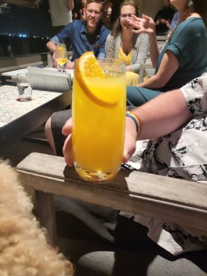 rehearsal drink.jpg