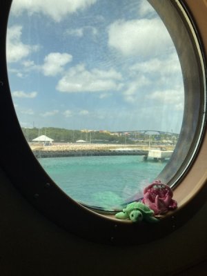 IMG_7906.jpeg