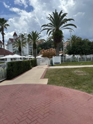 IMG_5865.jpeg