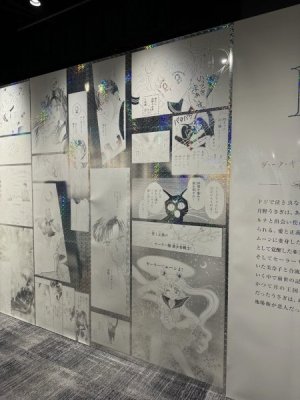 IMG_4634.jpeg