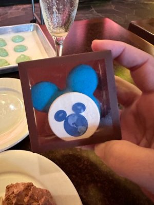 image13.jpeg