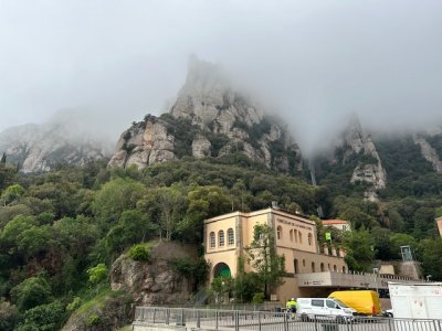 IMG_1020.jpeg