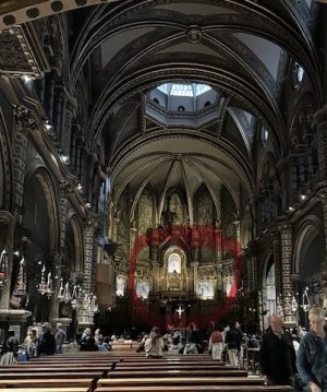 IMG_1066.jpeg