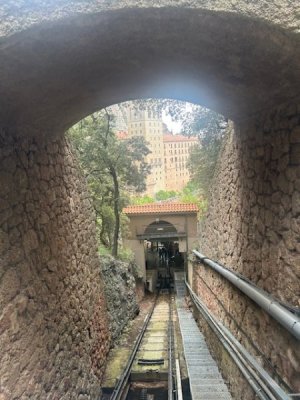 IMG_1110.jpeg