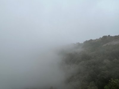 IMG_1132.jpeg