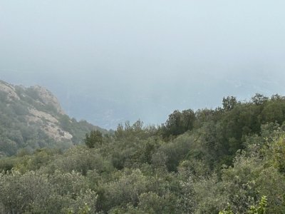 IMG_1138.jpeg