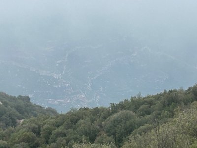 IMG_1137.jpeg