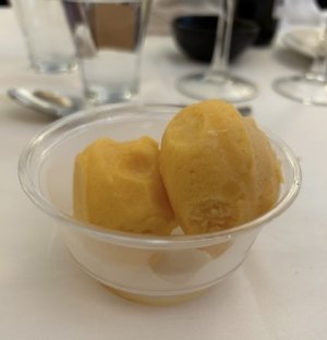 IMG_1175.jpeg