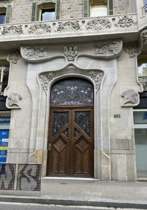 IMG_1208.jpeg