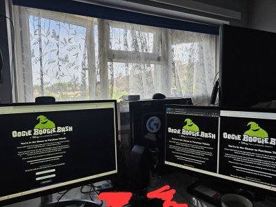 1000093231.jpg