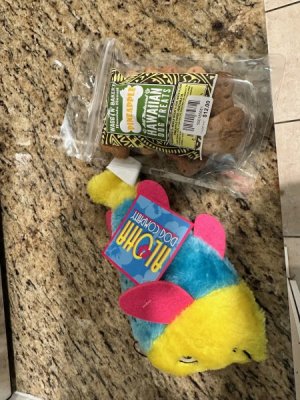 image13.jpeg