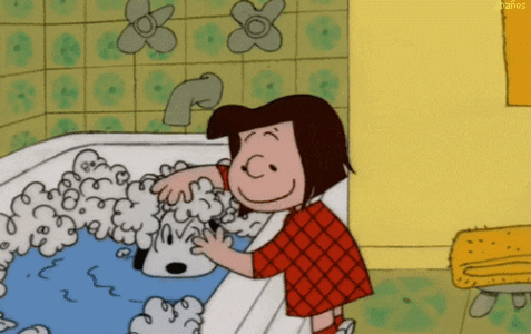 5a92da65297572e257f5e8b5bc51ebae.gif