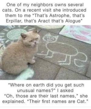 1000009560.jpg