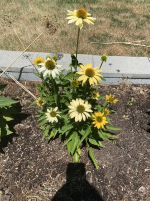 IMG_0510.jpeg