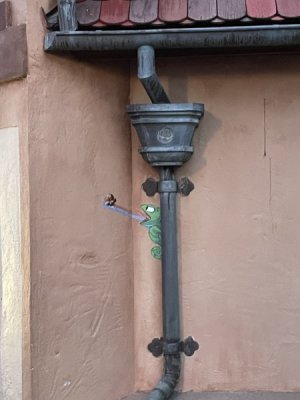 IMG_7746.JPG